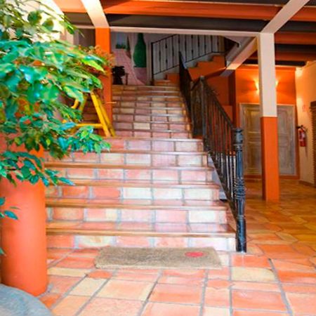 Apartamentos Senorio De Haro 3000 Extérieur photo